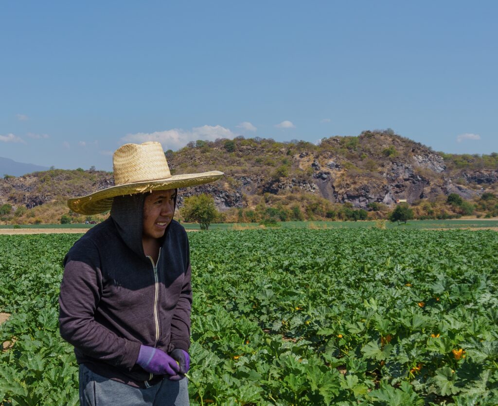 labor-trafficking-on-specific-temporary-work-visas-report-polaris